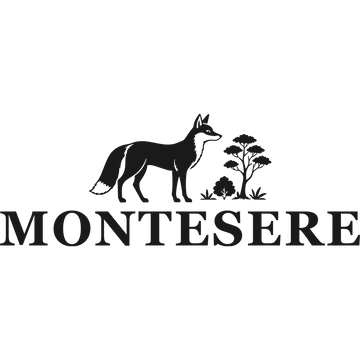 Montesere
