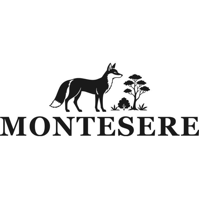 Montesere